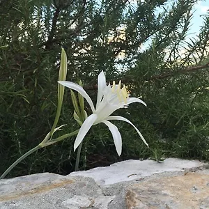 Gasthuis Ca' Di Bianca, Moneglia